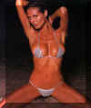Heidi_klum.jpg (54618 bytes)